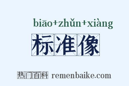 标准像是什么意思的图片